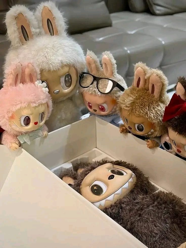 WhatsApp Image 2025-10-23 at 16.09.03 (1)